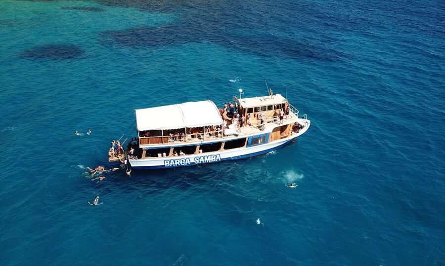 Palma de Mallorca: Palma Bay Boat Tour with Snorkeling - Homemade pizza, water, and the onboard bar