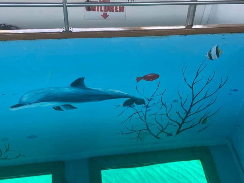 Paphos: Glass Bottom Boat Trip with Swimming or Snorkeling - Choosing between the 90-minute and 2.5-hour trips