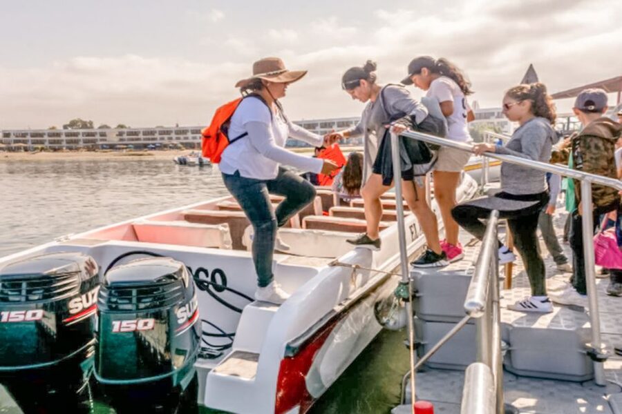 Paracas: Ballestas Islands Morning Boat Tour - Who should book this boat trip?