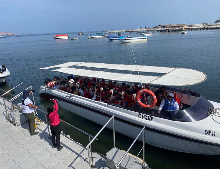 Paracas: Ballestas Islands Morning Boat Tour - Why the Ballestas Islands are worth your morning