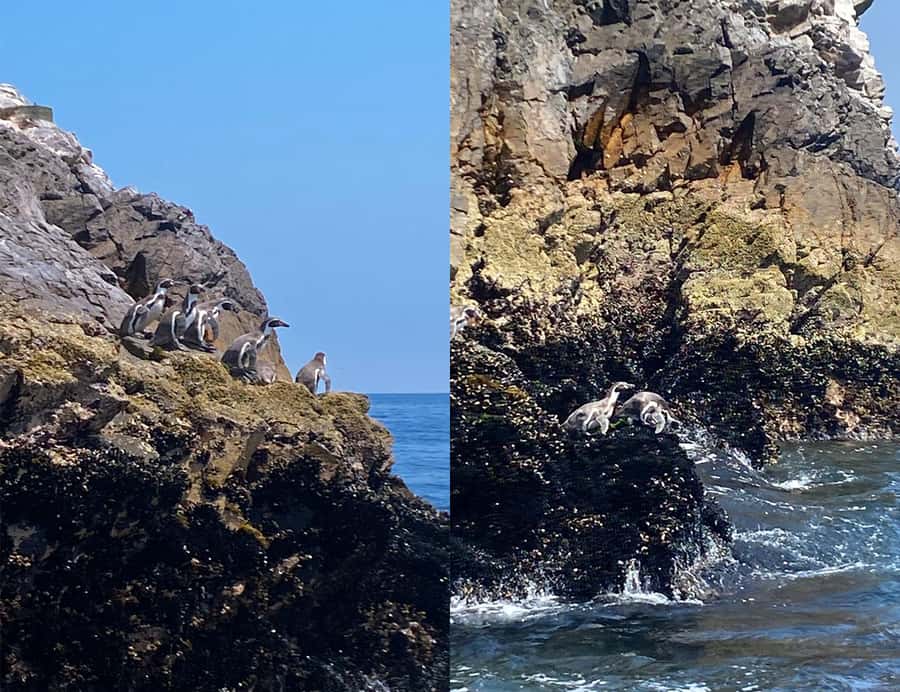 Paracas: Ballestas Islands Morning Boat Tour - Arriving at the Ballestas Islands