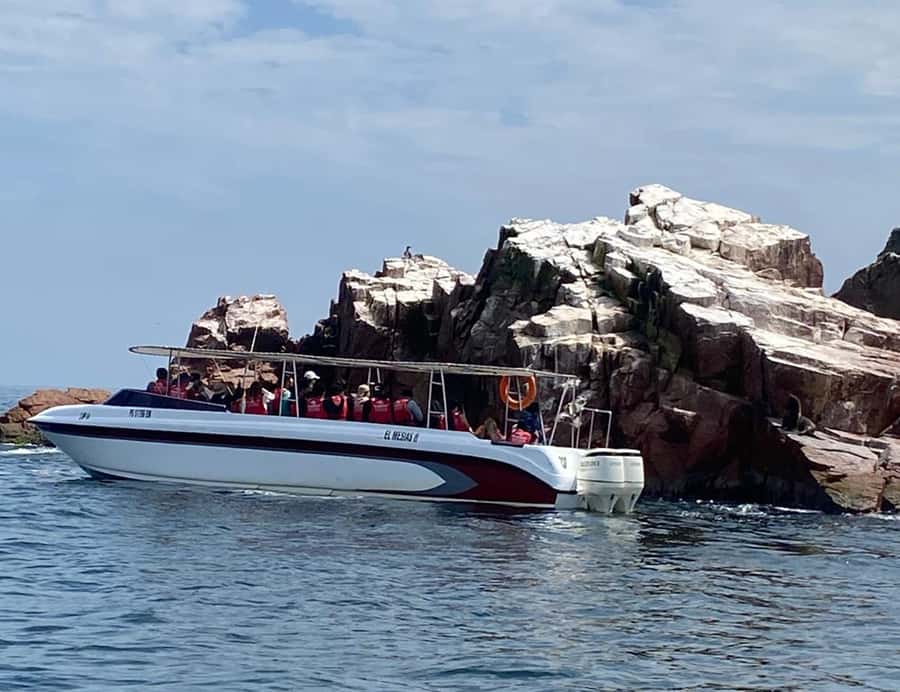 Paracas: Ballestas Islands Morning Boat Tour - Practical clothing and family notes