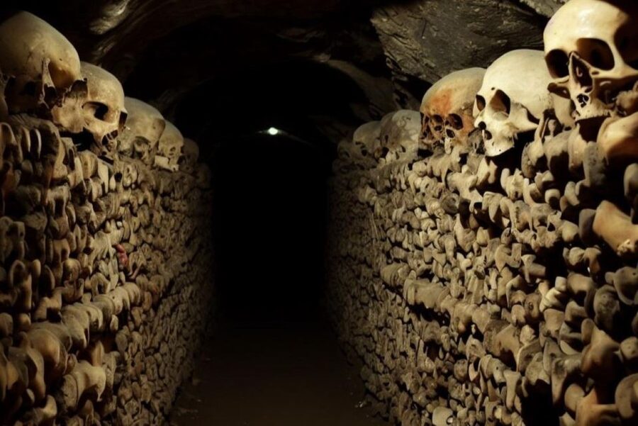 Paris: Catacombs, Audio Guide, and River Cruise Option - Small details that make the visit easier