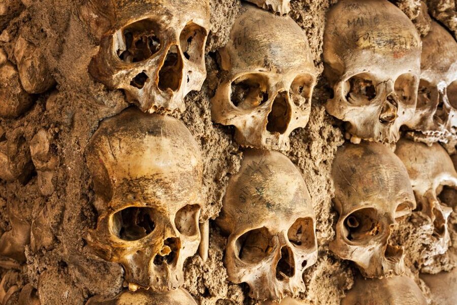 Paris: Catacombs Ticket and Seine River Cruise - Walking through Paris beneath the streets