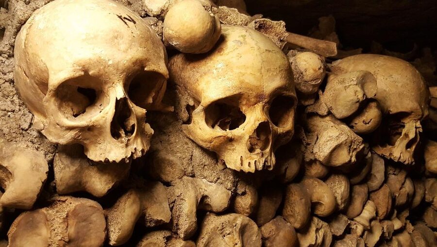 Paris: Catacombs Ticket and Seine River Cruise - Who will enjoy this pairing most?