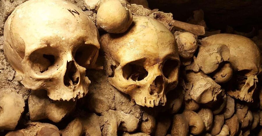 Paris: Catacombs Ticket and Seine River Cruise - The stairs are part of the experience