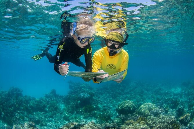 Passions of Paradise Great Barrier Reef Cruise by Catamaran - A full reef day from Cairns