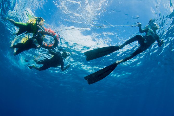 Passions of Paradise Great Barrier Reef Cruise by Catamaran - Food and drinks during the day