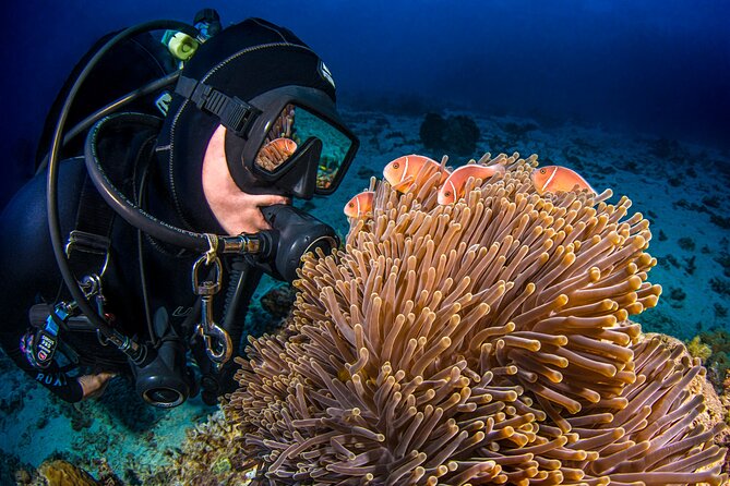 Passions of Paradise Great Barrier Reef Cruise by Catamaran - How much value do you get for $192.94?