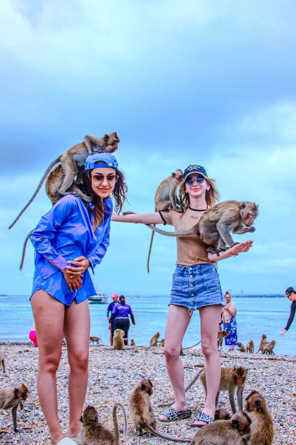 Pattaya: Exclusive 3-Island Catamaran Tour with Buffet Lunch - Key points to know before booking