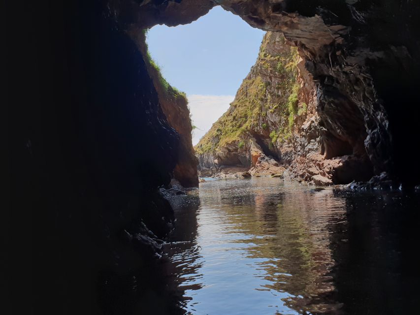 Peniche: Berlengas Roundtrip and Glass-Bottom Boat Cave Tour - Should you book it?