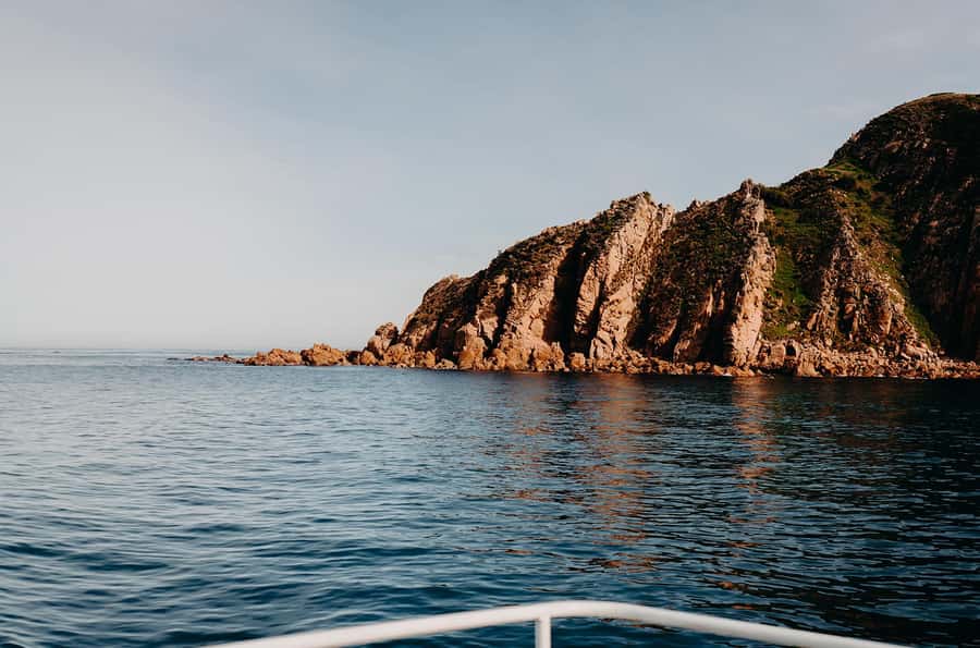 Phillip Island: 1-Hour Cape Woolamai Scenic Cruise - Tea, coffee, and cake onboard