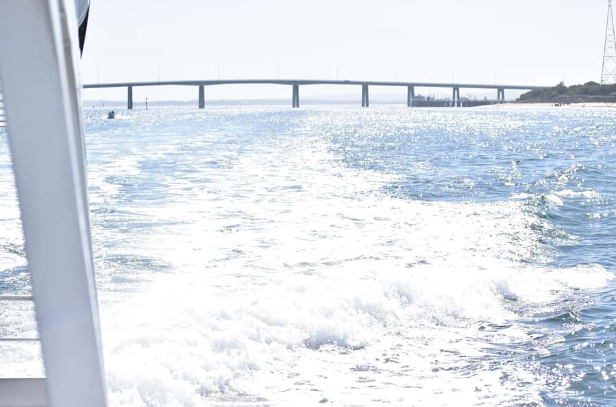Phillip Island: 1-Hour Cape Woolamai Scenic Cruise - Comfort, seating, and family suitability