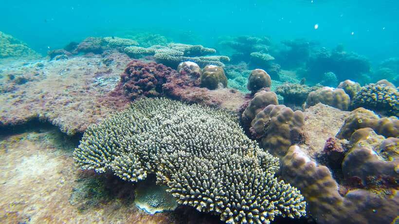Phu Quoc: 3 Island Tour by Boat with Guide - Guides, transport, and the pace of the day