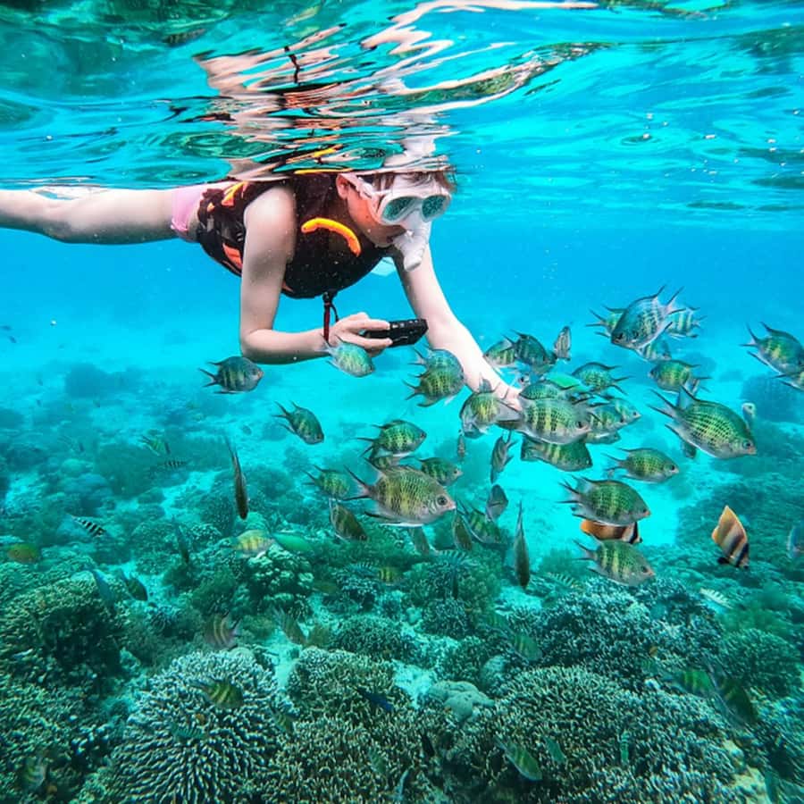 Phuket: Coral and Racha lslands Catamaran Tour with Lunch - Racha Island: the better water stop