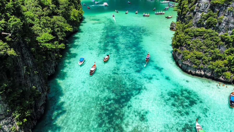 Phuket: Phi Phi, Bamboo & Maithon by Premium Speed Catamaran - Quick points before you book