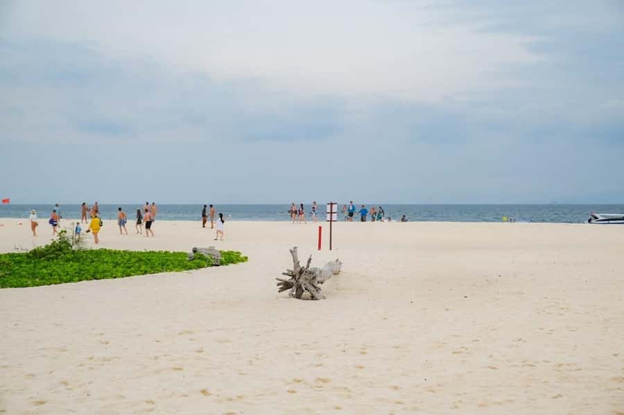 Phuket: Phi Phi, Bamboo & Maithon by Premium Speed Catamaran - Monkey Beach is a quick photo stop