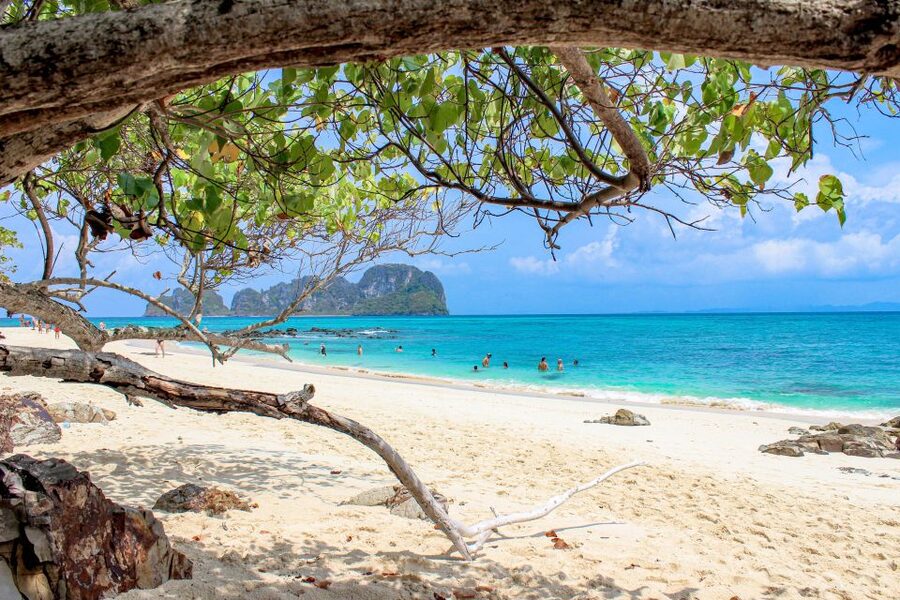 Phuket: Phi Phi Sunrise Boat Tour to Bamboo and Khai Island - Phi Phi Don, Monkey Beach, and marine life