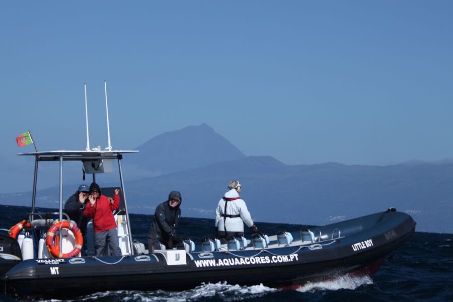 Pico Island: Azores Whale & Dolphin Watching on Zodiac Boat - The Zodiac ride and the Pico shoreline