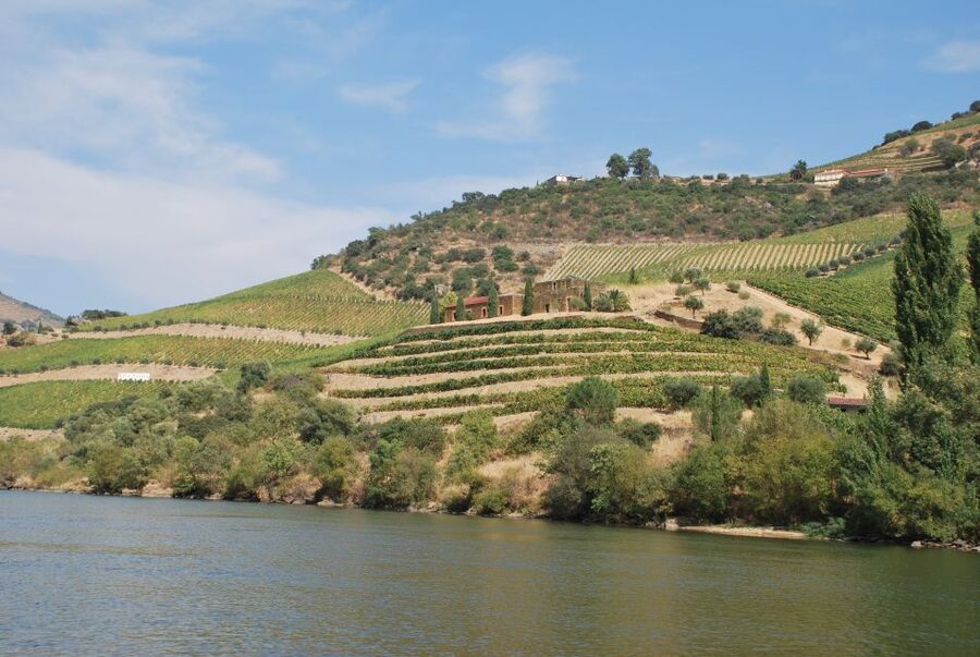 Pinhão: 2-Hour Rabelo Boat Tour with Audio Guide - A traditional boat with practical comforts