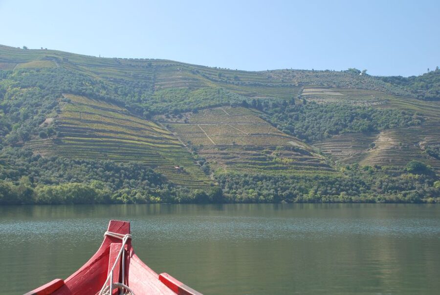 Pinhão: 2-Hour Rabelo Boat Tour with Audio Guide - Who will enjoy this Douro cruise most?