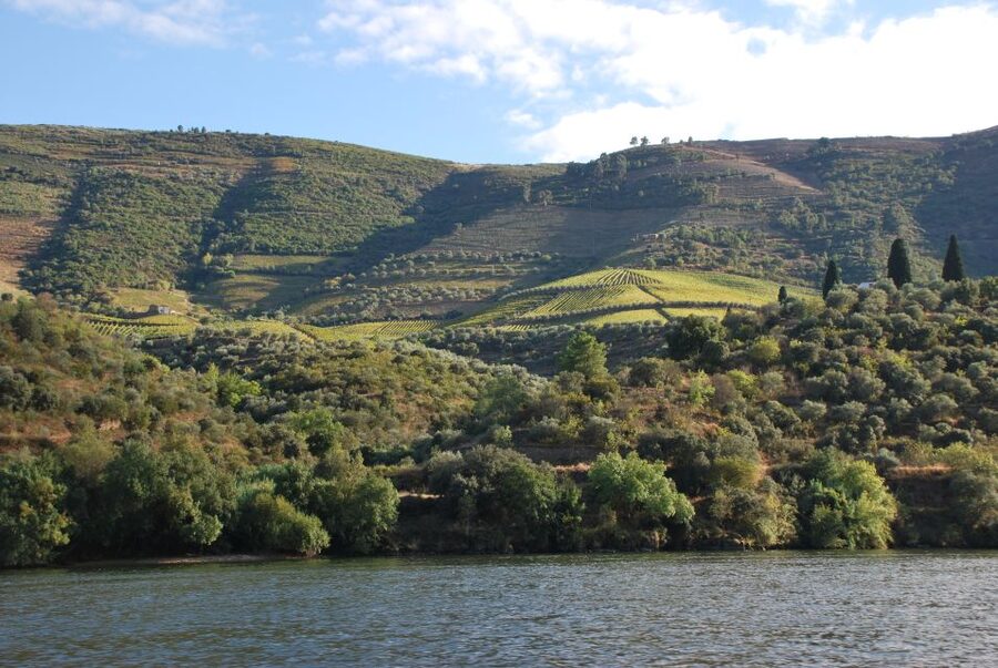 Pinhão: 2-Hour Rabelo Boat Tour with Audio Guide - Should you book the Magnifico Douro boat tour?