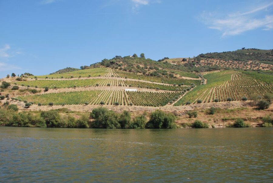 Pinhão: 2-Hour Rabelo Boat Tour with Audio Guide - Boarding at the Magnifico Douro pier