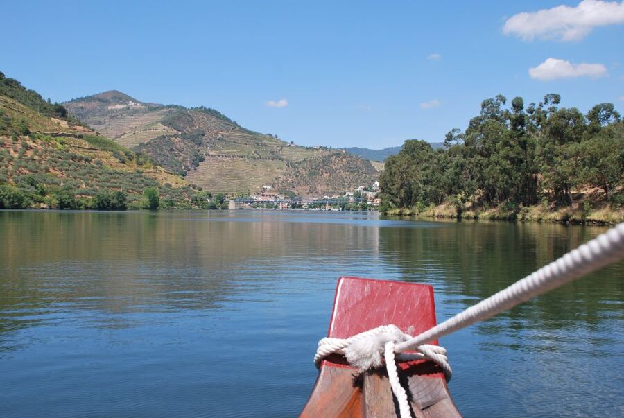 Pinhão: Rabelo Boat 1-Hour Tour - Who should book this cruise?