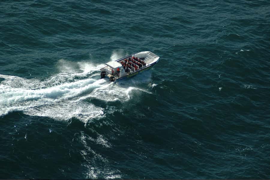 Plettenberg Bay: Whale Watching Boat Cruise - A beach launch that sets the tone