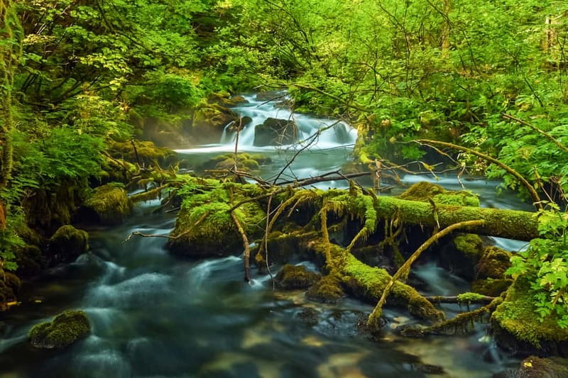 Plitvice Lakes: Guided Walking Tour with Bus and Boat Ride - The 20-minute electric boat crossing