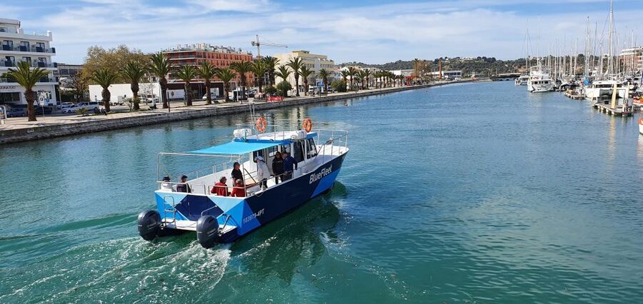 Ponta da Piedade: Half-Day Cruise with Lunch from Lagos - Portuguese lunch served at sea