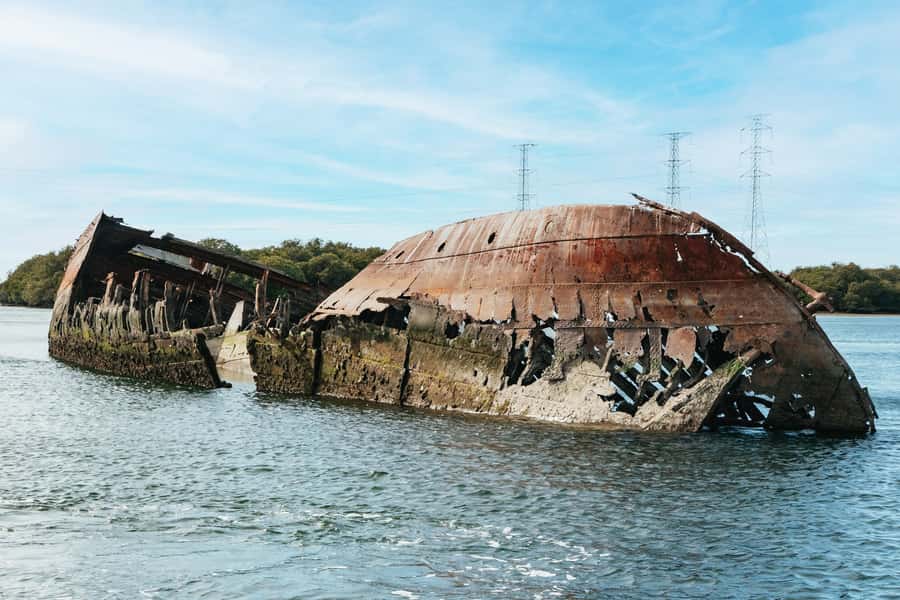 Port Adelaide: Dolphin and Ships Graveyard Cruise - Why Port Adelaide’s river tells a better story than a standard sightseeing cruise