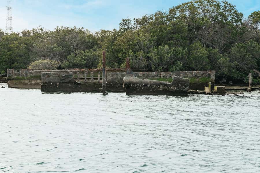 Port Adelaide: Dolphin and Ships Graveyard Cruise - Entering the Ships’ Graveyard