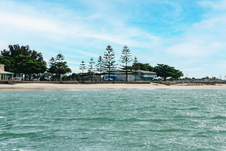 Port Adelaide: Dolphin and Ships Graveyard Cruise - What the 90-minute format feels like