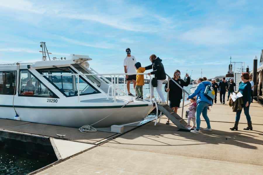 Port Adelaide: Dolphin and Ships Graveyard Cruise - Is $62 per person good value?