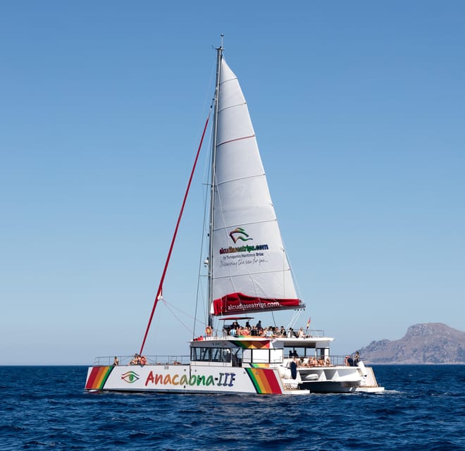 Port d'Alcudia: North Coast Catamaran Cruise with Meal - Should you book the Alcúdia catamaran cruise?