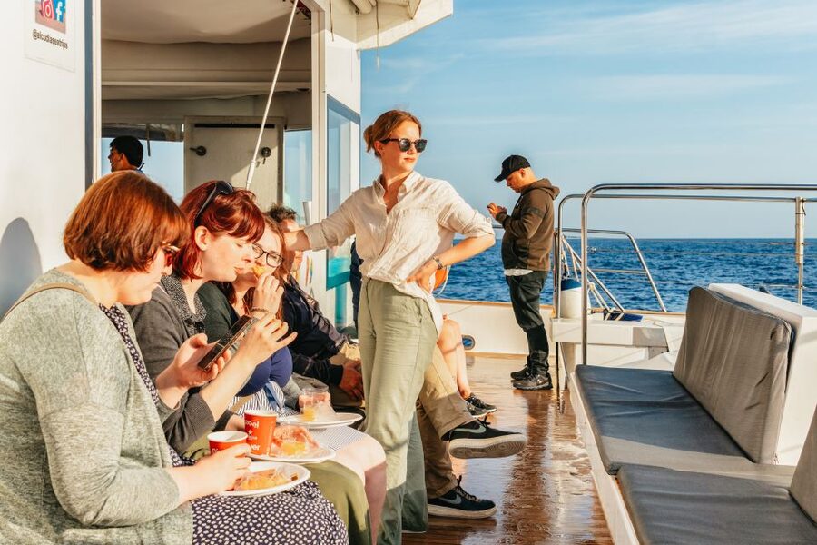 Port d'Alcudia: Sunrise at Sea & Dolphin Watching Boat Tour - Finding dolphins off Mallorca’s north coast