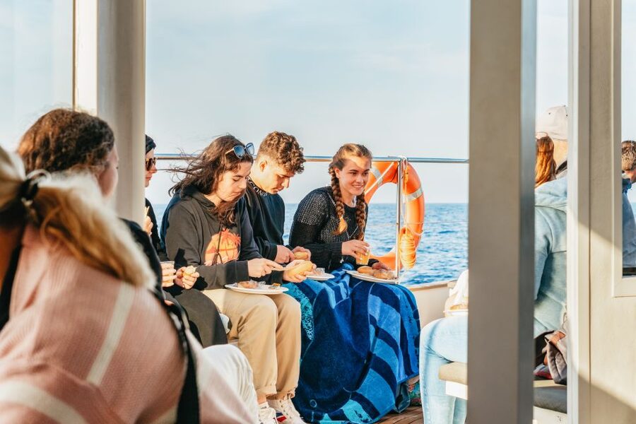 Port d'Alcudia: Sunrise at Sea & Dolphin Watching Boat Tour - Weather, comfort, and what to pack