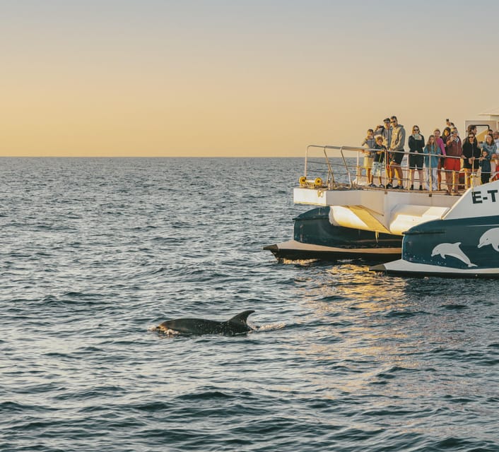 Port d'Alcudia: Sunrise at Sea & Dolphin Watching Boat Tour - Sunrise on the open water
