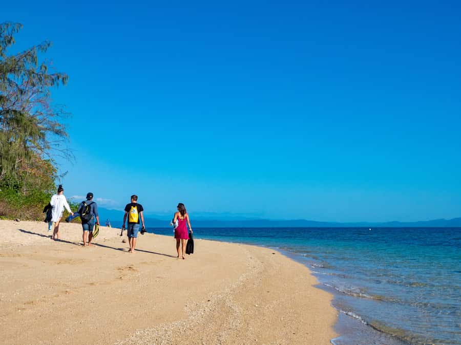 Port Douglas: Low Isles Glass Bottom Boat & Snorkeling Tour - Turtles, sharks, and the changing reef