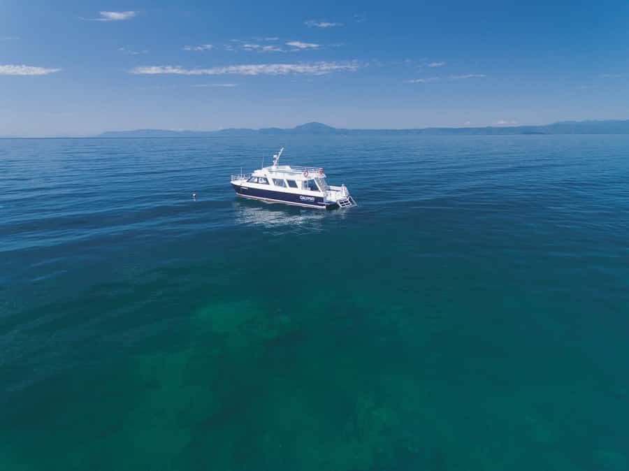 Port Douglas: Low Isles Glass Bottom Boat & Snorkeling Tour - Is $135 good value?