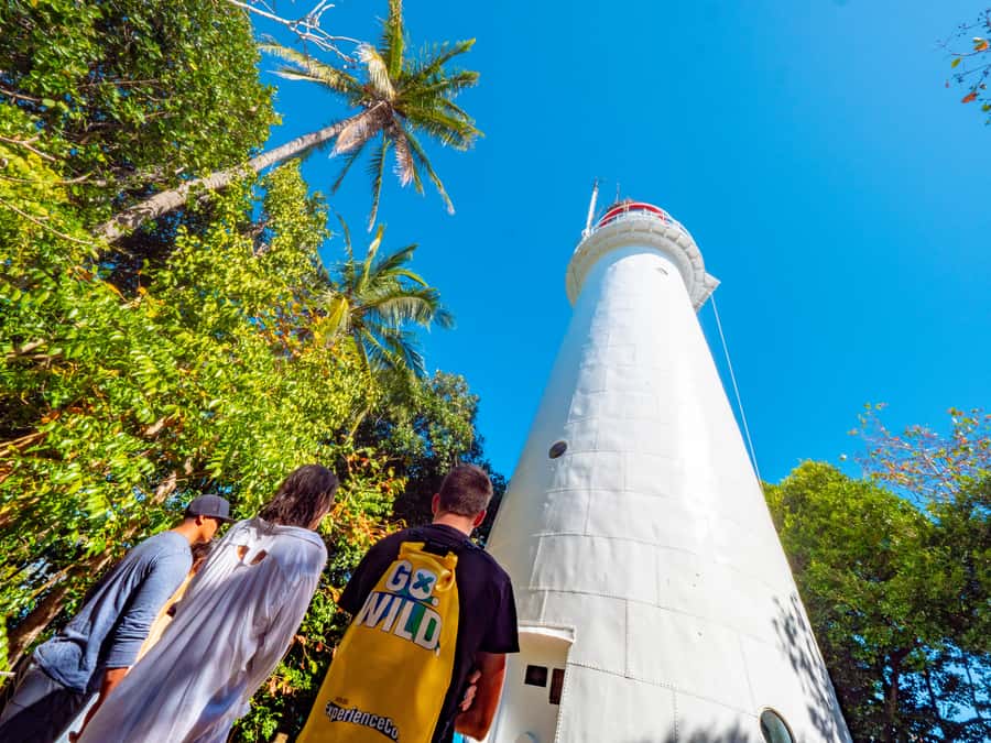 Port Douglas: Low Isles Glass Bottom Boat & Snorkeling Tour - Should you book it?