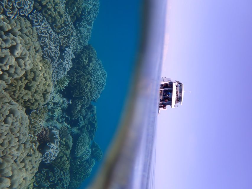 Port Douglas: Outer Great Barrier Reef Snorkeling Cruise - The boat, group size, and personal service