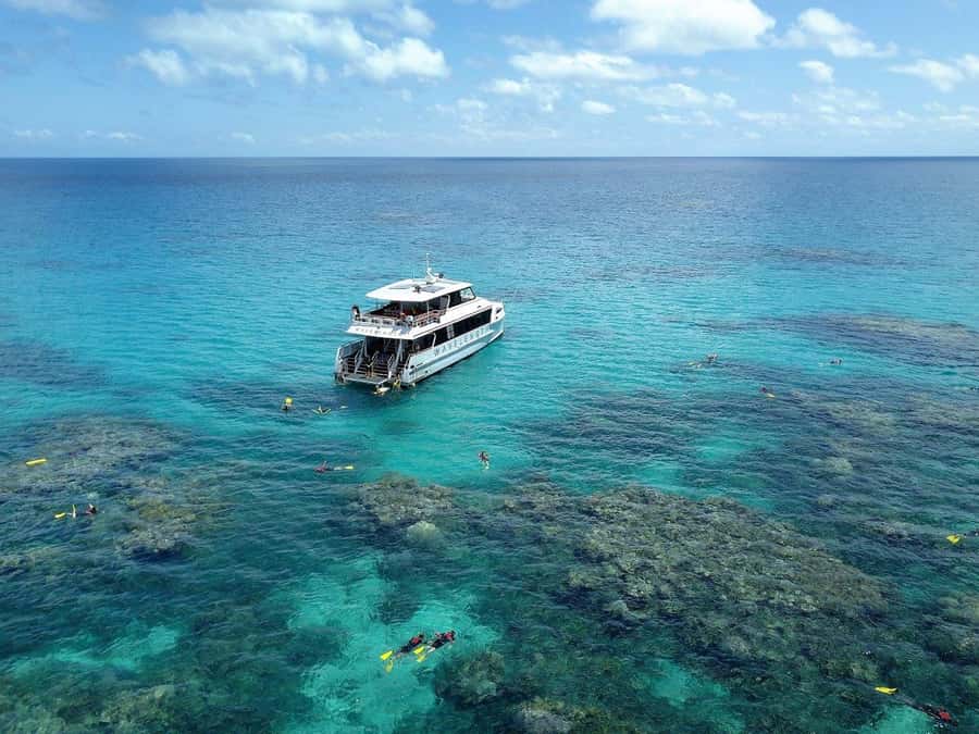 Port Douglas: Outer Great Barrier Reef Snorkeling Cruise - Why this Port Douglas reef trip feels different