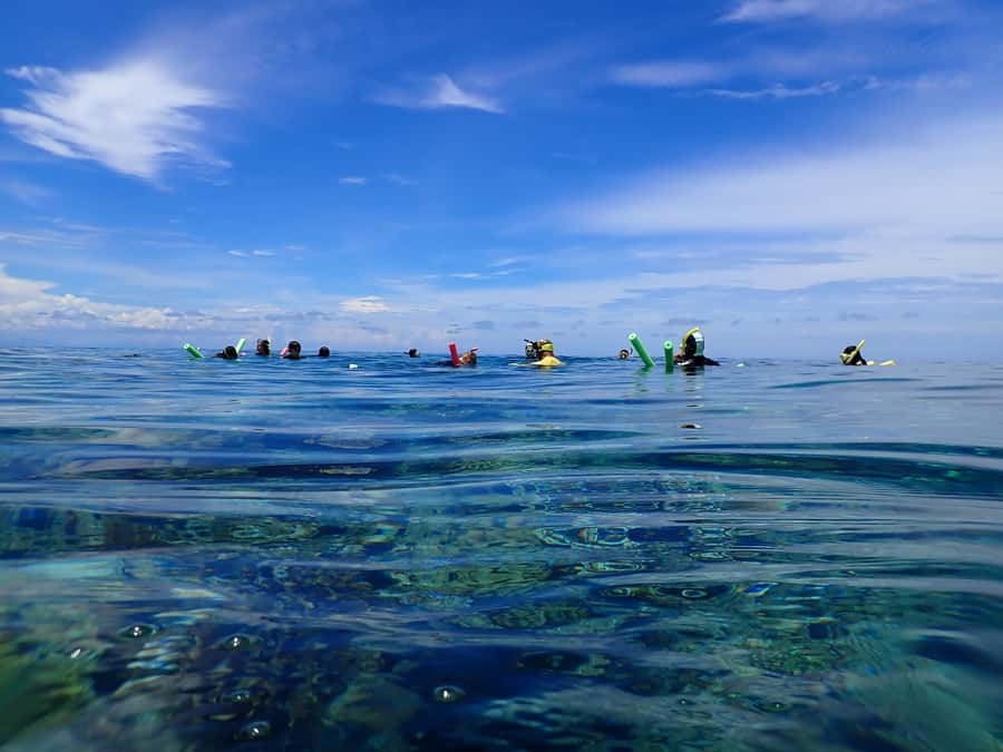 Port Douglas: Outer Great Barrier Reef Snorkeling Cruise - First site: time to get comfortable