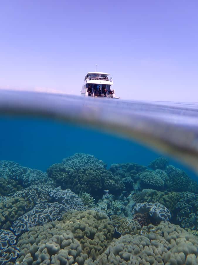 Port Douglas: Outer Great Barrier Reef Snorkeling Cruise - Lunch, tea, and a reef talk