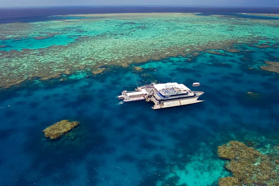 Port Douglas: Quicksilver Outer Barrier Reef Full-Day Cruise - From Port Douglas Marina to the outer reef