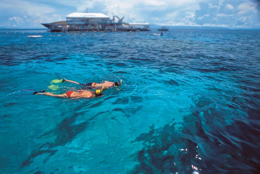 Port Douglas: Quicksilver Outer Barrier Reef Full-Day Cruise - A well-run day with a large group