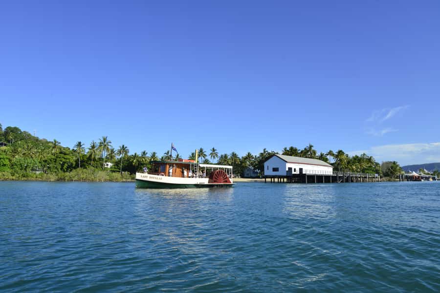 Port Douglas: River Cruise, Crocodile Spotting, Drink/ Snack - Mangroves, Dickson Inlet, and the crocodile search