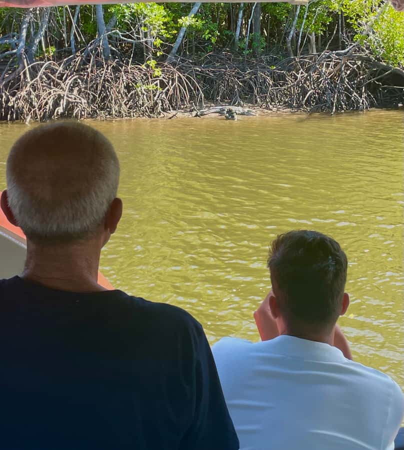 Port Douglas: River Cruise, Crocodile Spotting, Drink/ Snack - A good fit for families and relaxed sightseeing